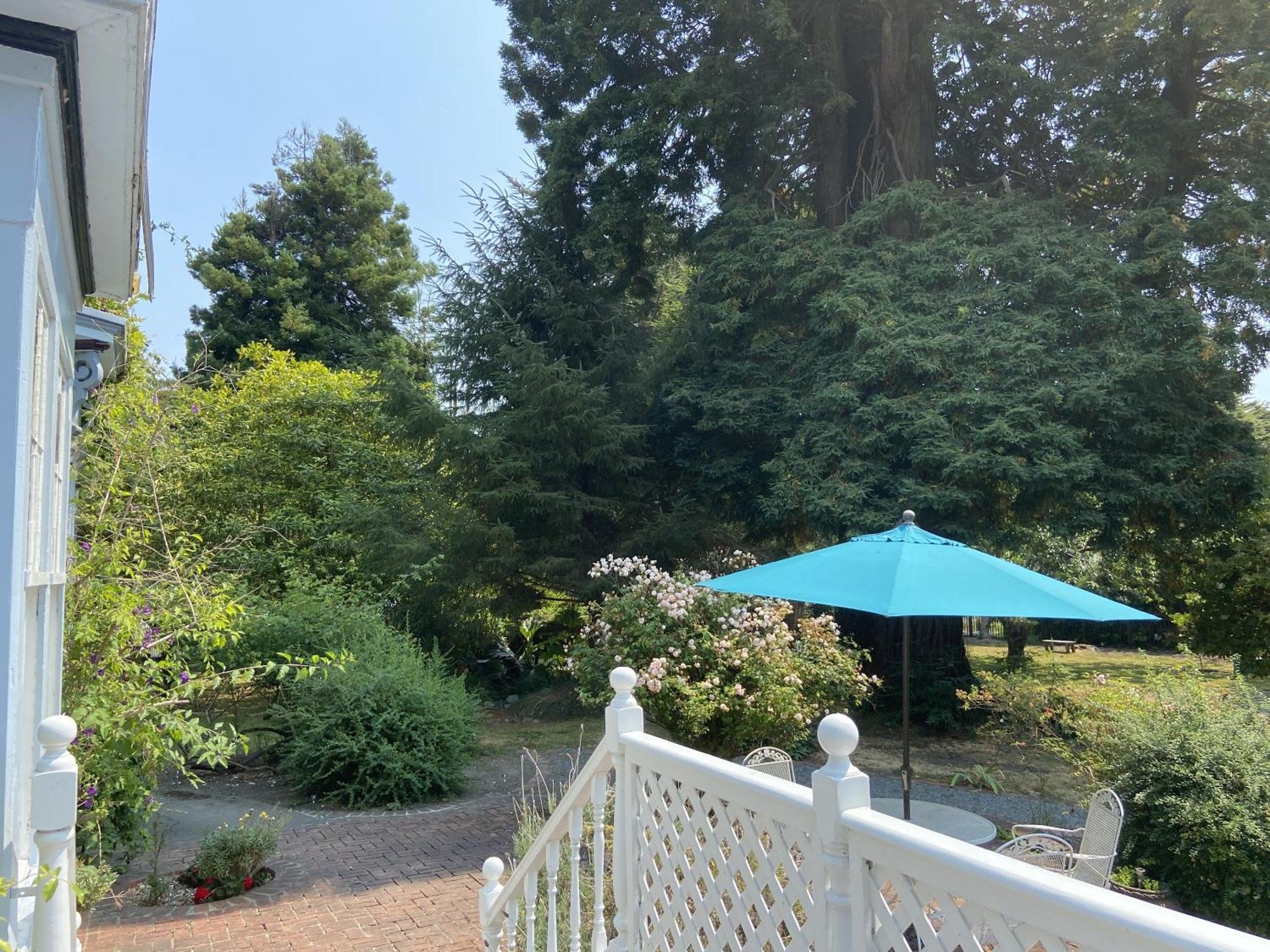 Shaw House Inn Ferndale Bagian luar foto